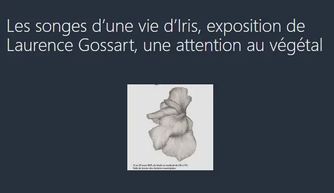 article sur laurence gossart, creatrice dessinatrice
